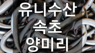 유니수산 최저가 득템! 신선함 가득한 해산물 여행 후기