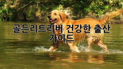 골든리트리버 건강한 출산 가이드