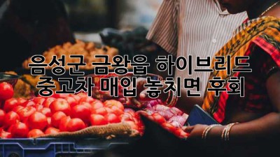 음성군 금왕읍 하이브리드 중고차 매입, 놓치면 후회! 🚗💨